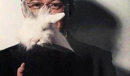 娱乐圈卓伟爆料的事,揭秘明星背后的惊人真相